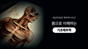 몸으로 이해하는 기초해부학
